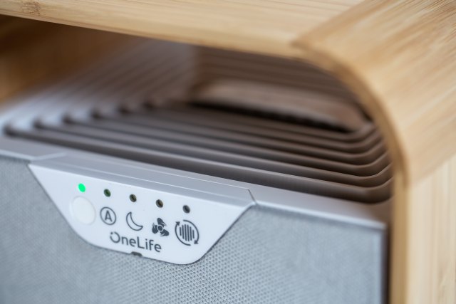 OneLife X Display Panel
