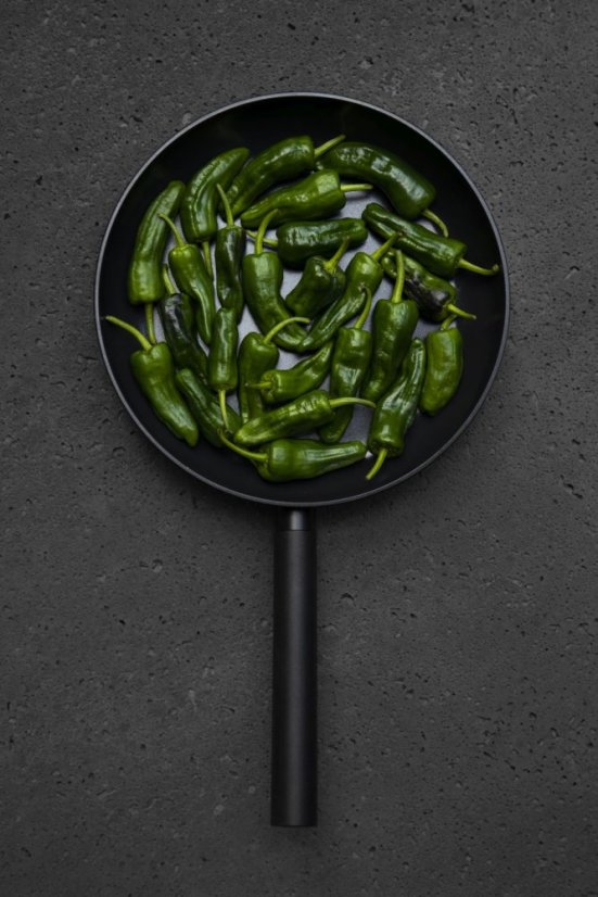 padron4 01