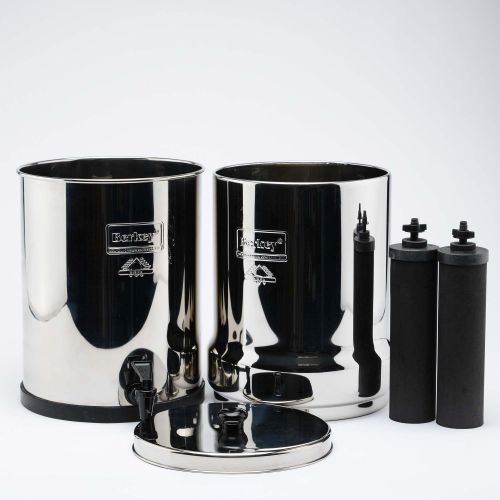 royal berkey system 3 traminal